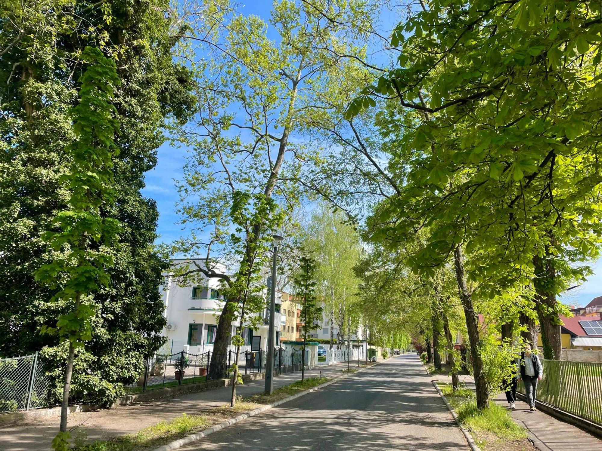 Republic5 Apartment Сиофок Екстериор снимка